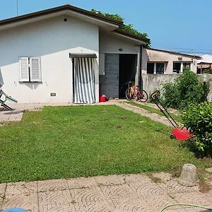 Lavanda Torre del Lago Puccini